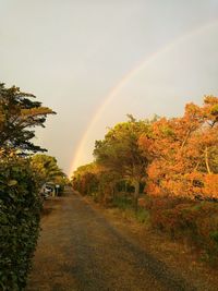 Scenic view of rainbow over trees against sky