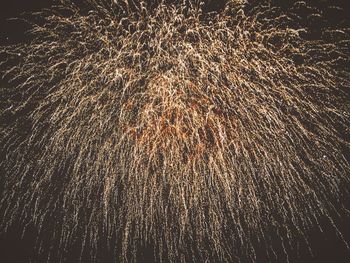 Firework display at night