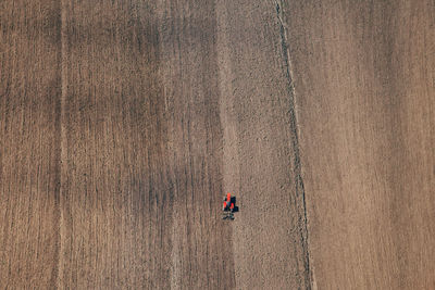 High angle view of man working at farm