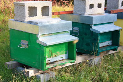 Close-up of bee on the ground