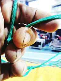 Close-up of hand holding turtle