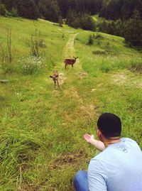 Man gesturing towards deer on grassy field