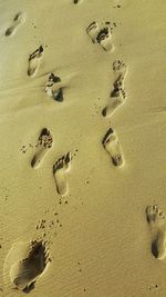 High angle view of footprints on sand