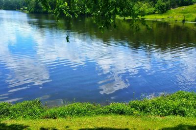 Scenic view of lake