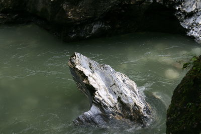 Scenic view of rocks in water