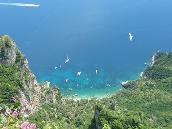 High angle view of birds flying over sea