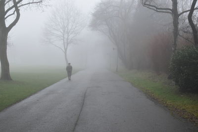 Man walking on road along bare trees