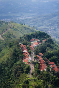 High angle view of trees and buildings