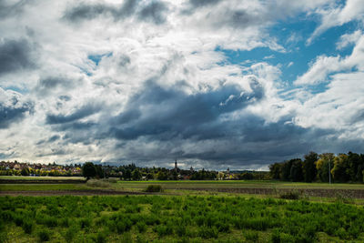 Scenic view of agricultural field against sky