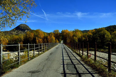 Scenic view of trees by plants against sky