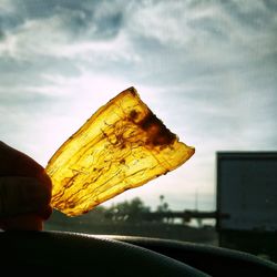 Low angle view of yellow leaf against sky