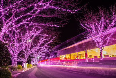 Illuminated street amidst trees at night