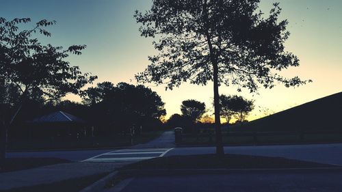 Road at sunset