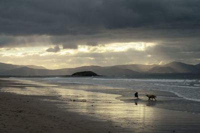 Silhouette people on beach against sky