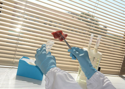 Cropped image of scientist examining meat at laboratory
