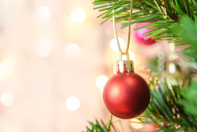 Close-up of christmas tree