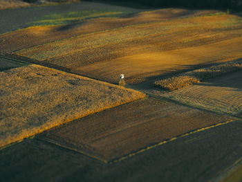 High angle view of agricultural field