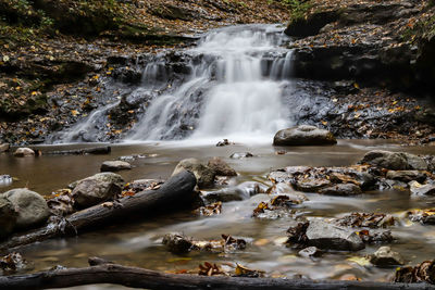 Scenic view of waterfall in forest