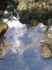 High angle view of reflection in lake