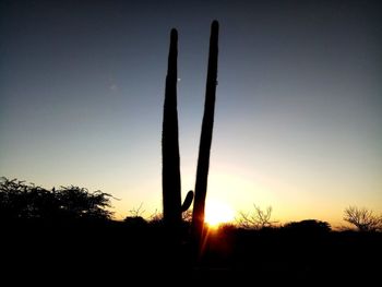 Silhouette cactus growing on field against clear sky during sunset