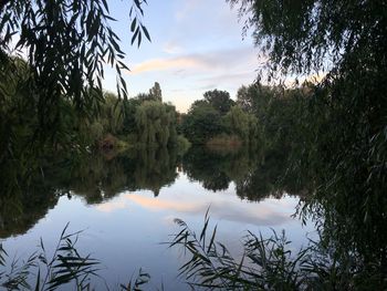 Scenic view of lake by trees against sky