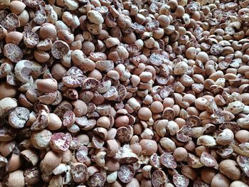 large group of objects