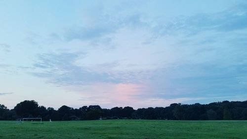 Scenic view of grassy field against sky