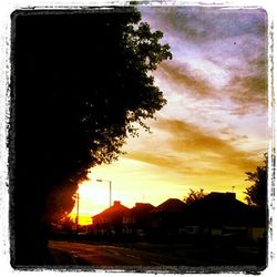 Houses at sunset