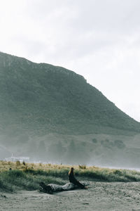 Scenic view of mountain range against sky