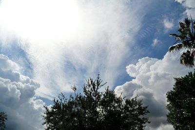 Low angle view of trees against cloudy sky