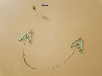 High angle view of starfish on beach