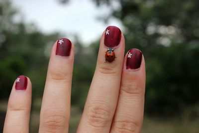 Close-up of lady bug on woman hand