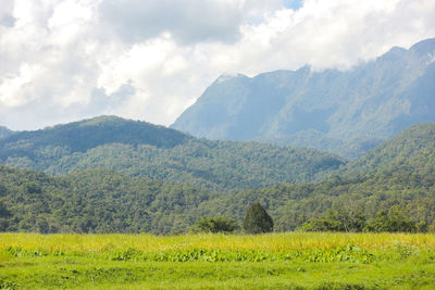 Scenic view of mountains