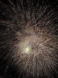 Low angle view of firework display at night