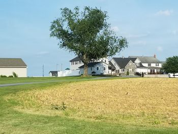 Trees and houses on field against sky