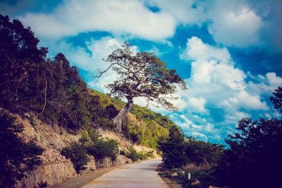 Road amidst trees against cloudy sky