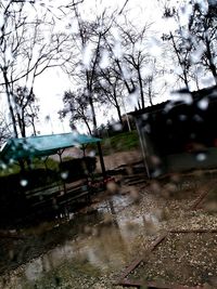 Reflection of bare trees in puddle on rainy season