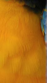 Full frame shot of water