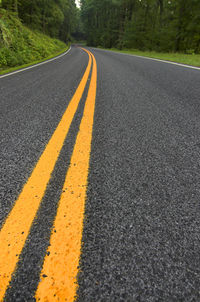 Empty road in forest