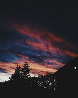 Silhouette trees at sunset