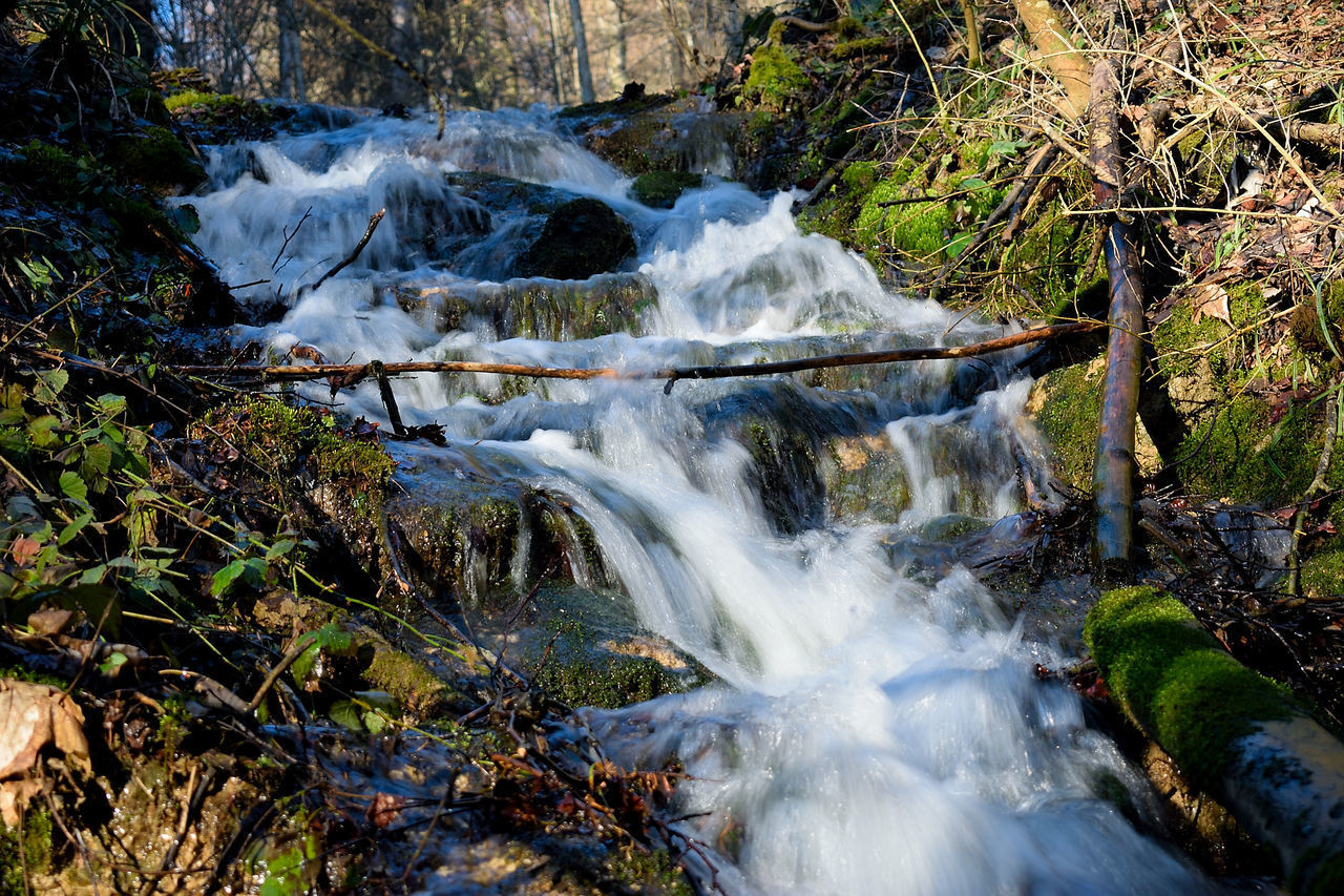 WATER FLOWING THROUGH ROCKS IN FOREST