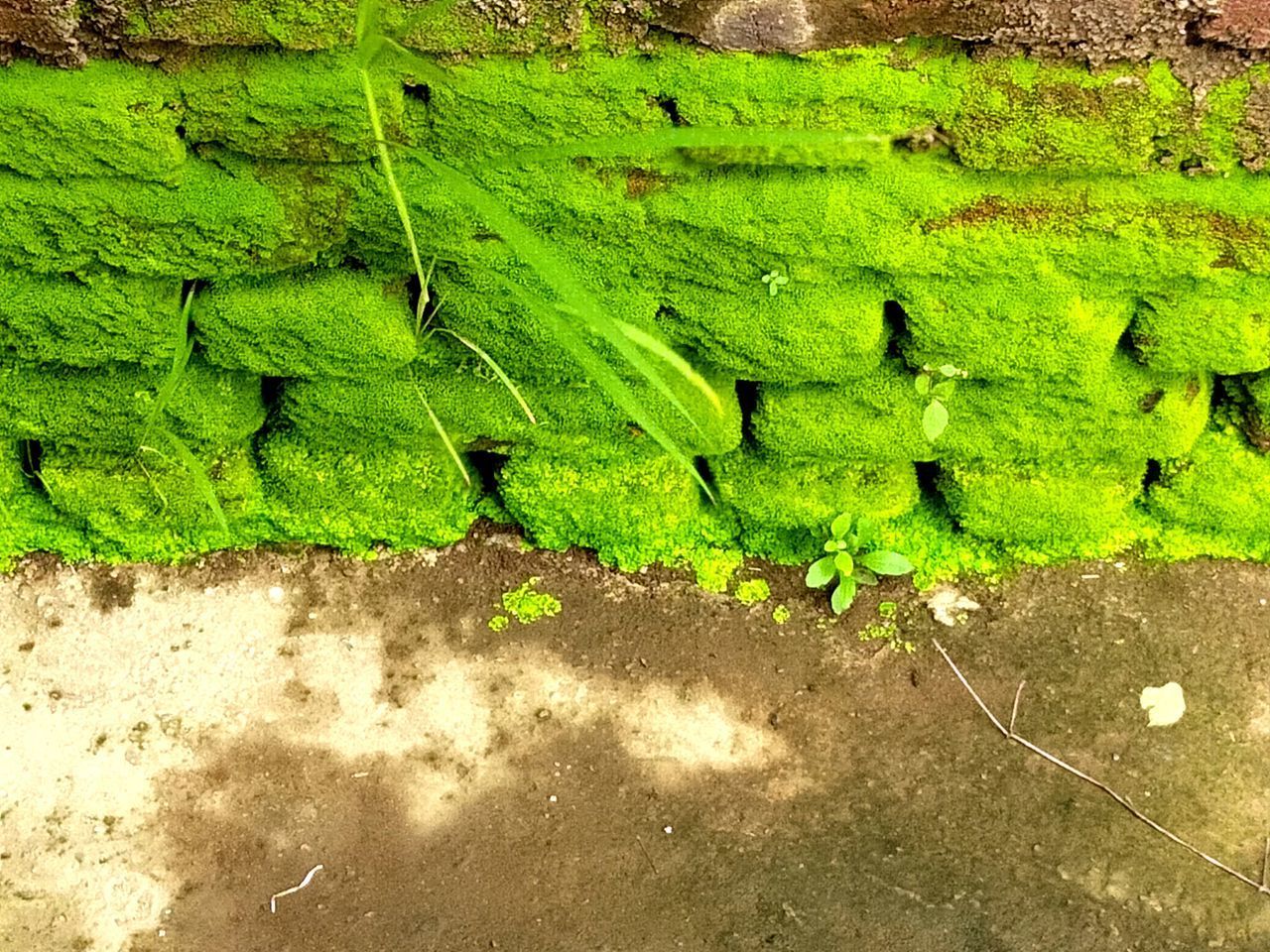 HIGH ANGLE VIEW OF STONE WALL