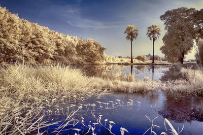 Scenic view of lake against sky