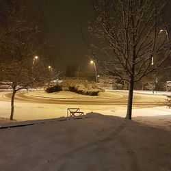 Bare trees on snow covered landscape at night