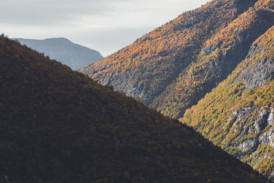 Mountain scenery with autumn colors