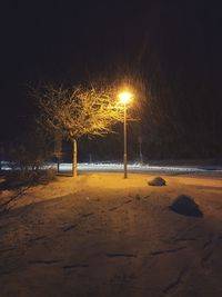 Illuminated beach against sky during winter at night