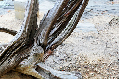 Close-up of sand at beach