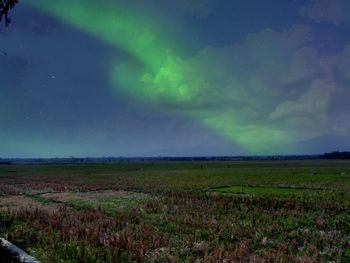 Scenic view of field against sky at night