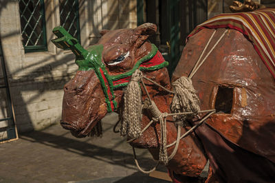 Close-up of rope tied to for sale