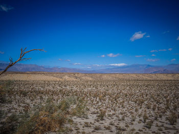 Scenic view of desert against blue sky